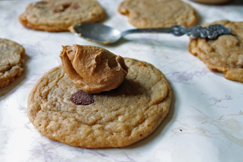 Best Biscoff Chocolate Chip Cookies 7--061913