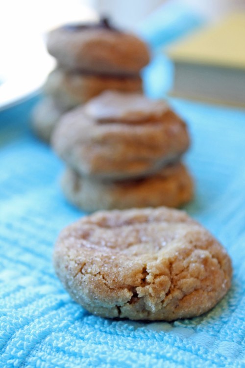 Cookie Butter Snickerdoodle Thumbprints 2--080213