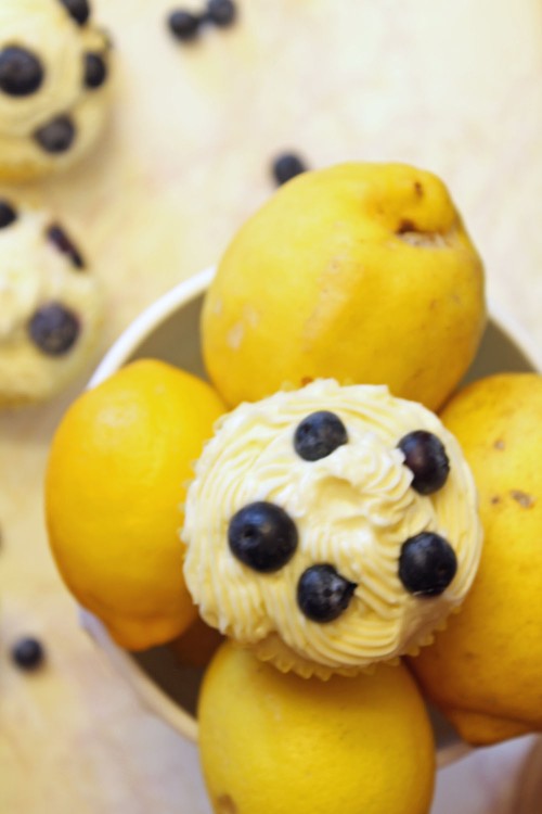 Summer Lemon Blueberry Cupcakes with Lemon Cream Cheese Frosting 78-082413