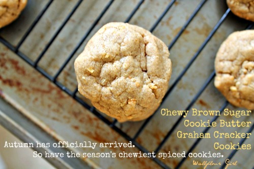 Brown Sugar Cookie Butter Graham Cracker Cookies 3--100813