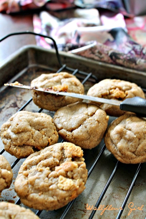 Brown Sugar Cookie Butter Graham Cracker Cookies 4--100813