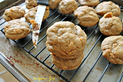 Brown Sugar Cookie Butter Graham Cracker Cookies 8--100813